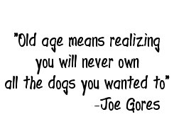 Old Age Means Never Owning All The Dogs You Wanted